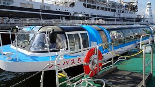 リーズナブルにクルージングを楽しむならシーバス！