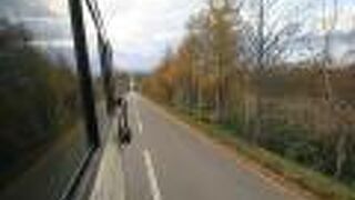 観光バスの中から、この「天に続く道」を見ました。