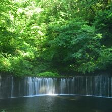 軽井沢の白糸の滝