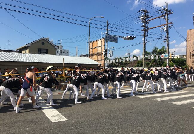 岸和田だんじり祭り