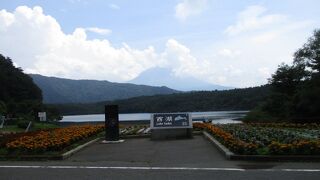 クニマスが生息してます。