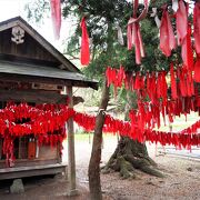 独特の雰囲気のある神社