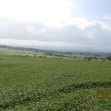 ピポロ高原の眺め