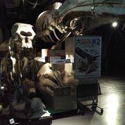 筑波実験植物園 クチコミ アクセス 営業時間 つくば フォートラベル 筑波実験植物園 クチコミ アクセス 営業時間 つくば フォートラベル
