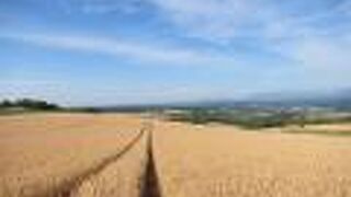 7月中旬、麦秋の頃