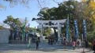 熊本城の敷地内にありました