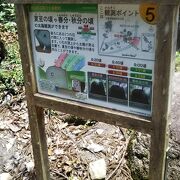 岩が大きい