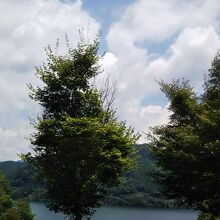 岩屋ダム (東仙峡金山湖)