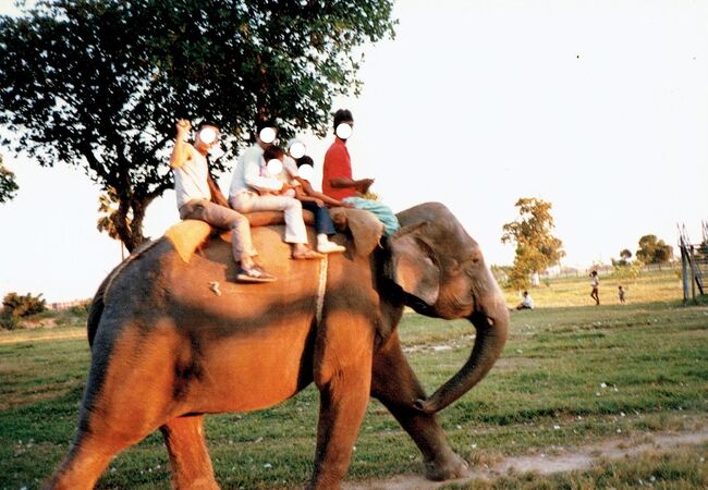 バングラデシュ☆ダッカ動物園で象に乗ったぞう～！