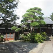 寺らしさが感じられる寺です