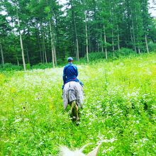 ムツ牧場 ひだまり乗馬クラブ