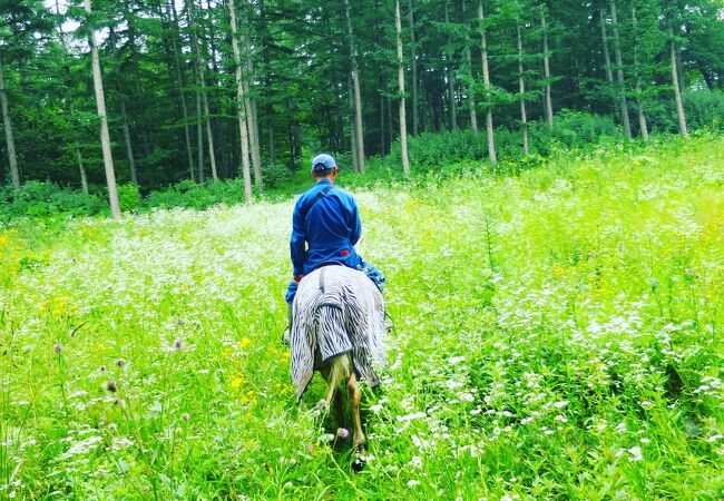 ムツ牧場 ひだまり乗馬クラブ