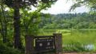 姫沼一周をお勧めします