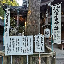 竹島　大黒神社
