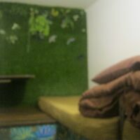 個室シングル内の様子