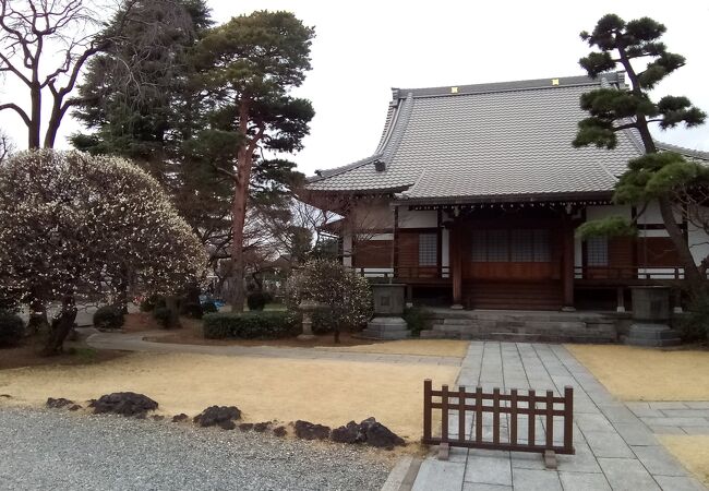 梅の白い花が満開でとてもきれいで感動