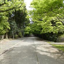東福寺最勝金剛院への参道