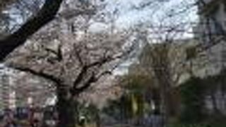 駅を挟んで川沿いを楽しむには桜の季節が一番です