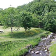 自然豊かな公園