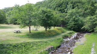 自然豊かな公園