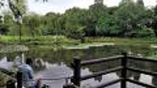 コロナ渦 の中 マスクをしながらヘラブナやタナゴ釣り By Ron3 川口自然公園のクチコミ フォートラベル