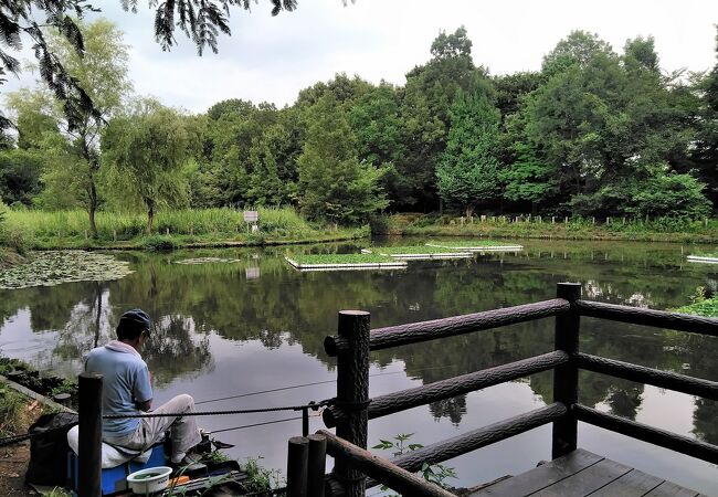 川口自然公園 クチコミ アクセス 営業時間 川口 戸田 蕨 フォートラベル