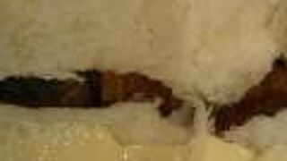 千葉で人気のベーカリーです。