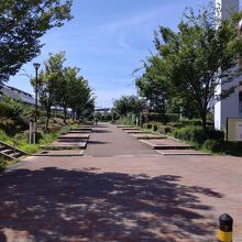 神戸震災復興記念公園の風景