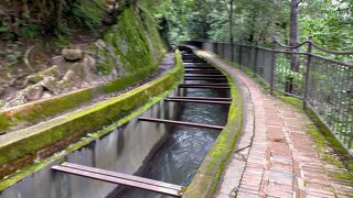 広くて見ごたえあります