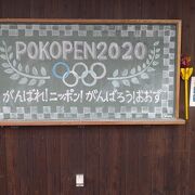 POKOPEN2020