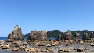 人工的な並びですがこれが自然の力