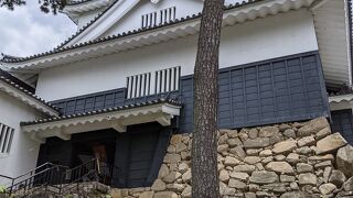 徳川家康生誕の城