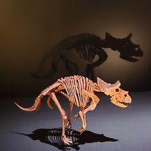 子供もかわいい