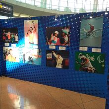 オリンピックのメダリストのパネル