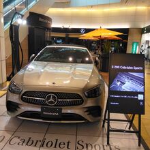 メルセデスの車が展示されてました
