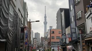 今回は眺めるだけ