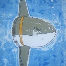 展望台の螺旋階段壁面には色々なお魚さんが見られて楽しい！