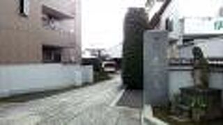 ７月下旬に訪問しました。