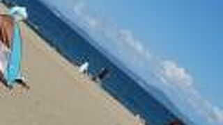 三浦半島を代表するビーチ