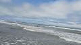 全体が綺麗な海浜公園