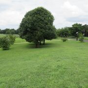 調布飛行場の周りにある公園です