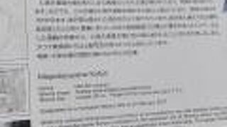 仁徳天皇陵と関係性が深いそうです