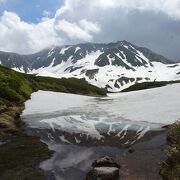 みくりが池に比べるとマイナーですが、こちらの池も美しいです。