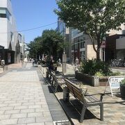 自由が丘のちょっといい遊歩道商店街の九品仏緑道