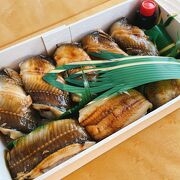 東京の谷中で江戸前の穴子寿司が昔から有名な乃池！ふっくらした穴子が美味しい！