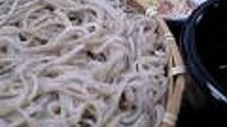 昼食におすすめ