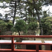 テーブルからの風景