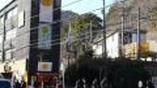 お土産選びにぴったり