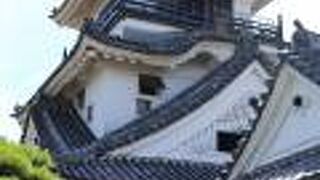 高知城花回廊 クチコミ アクセス 営業時間 高知市 フォートラベル
