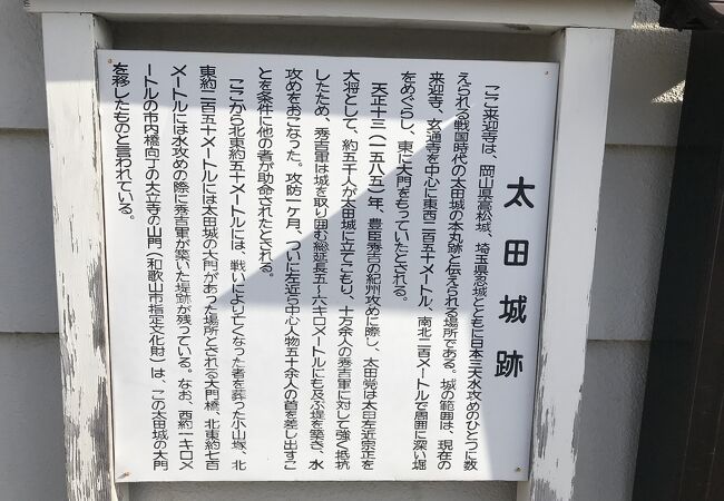 来迎寺（和歌山）：日本三大水攻めのあった太田城跡にある